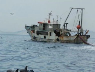 Πέντε χώρες κρατούν στα χέρια τους το 86% της παγκόσμιας αλιείας